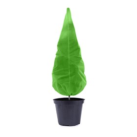 Чехол для растений, конус на завязках, 120 × 100 см, спанбонд с УФ-стабилизатором, плотность 60 г/м², зелёный