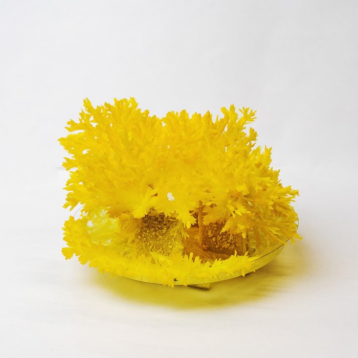 Набор для творчества «Лучистые кристаллы», цвет жёлтый набор для выращивания кристалла опыты лучистые кристаллы цвет оранжевый