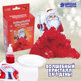 Набор для творчества «Лучистые кристаллы»: Дед Мороз, цвет красный Ош