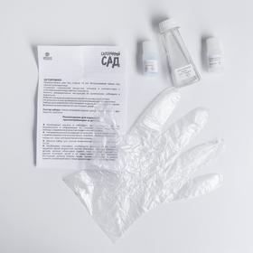 

Химические опыты «Сказочный сад»