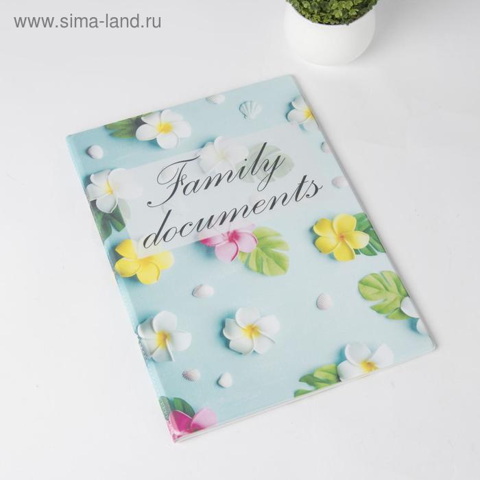 

Папка для семейных документов, 4 комплекта, цвет голубой