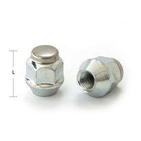 

Гайка M12x1,5, 30, hex19, конус, закрытая, цинк