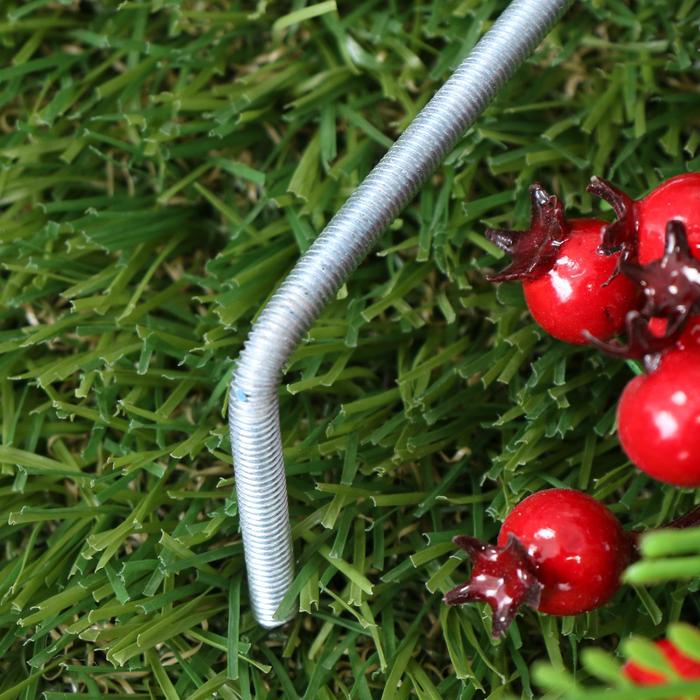 комбайн для сбора облепихи. приспособление для сбора ягод облепихи. приспособление для сбора облепихи. ошмыгивание облепихи. приспособление для сбора ягод облепихи.