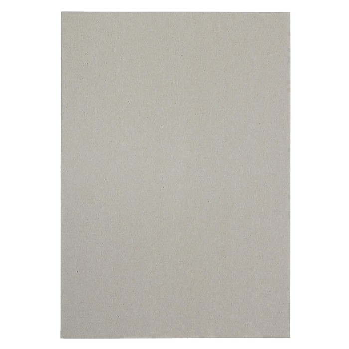 Картон белый А4, 8 листов «Луч», плотность 220 г/м2