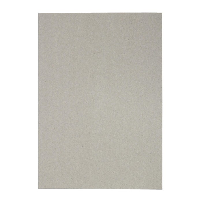 Картон белый А4, 8 листов «Луч», плотность 220 г/м2 мелованный