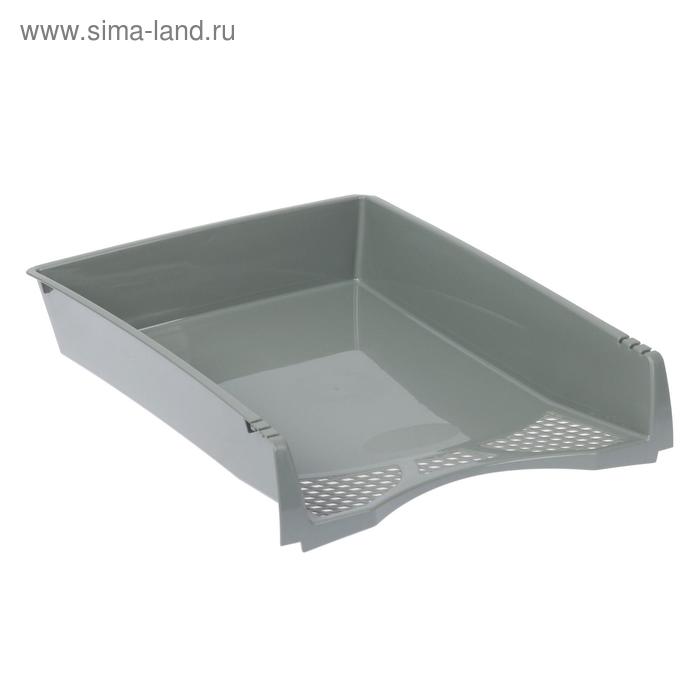

Лоток горизонтальный "Офис-класс" серый