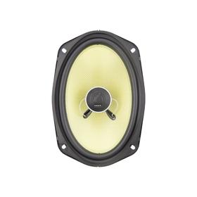 

Акустическая система COLT GOLD 692 coaxial, 16х23 см, 290 Вт, набор 2 шт