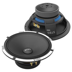 

Акустическая система STEG F8, 20 см, набор 2 шт