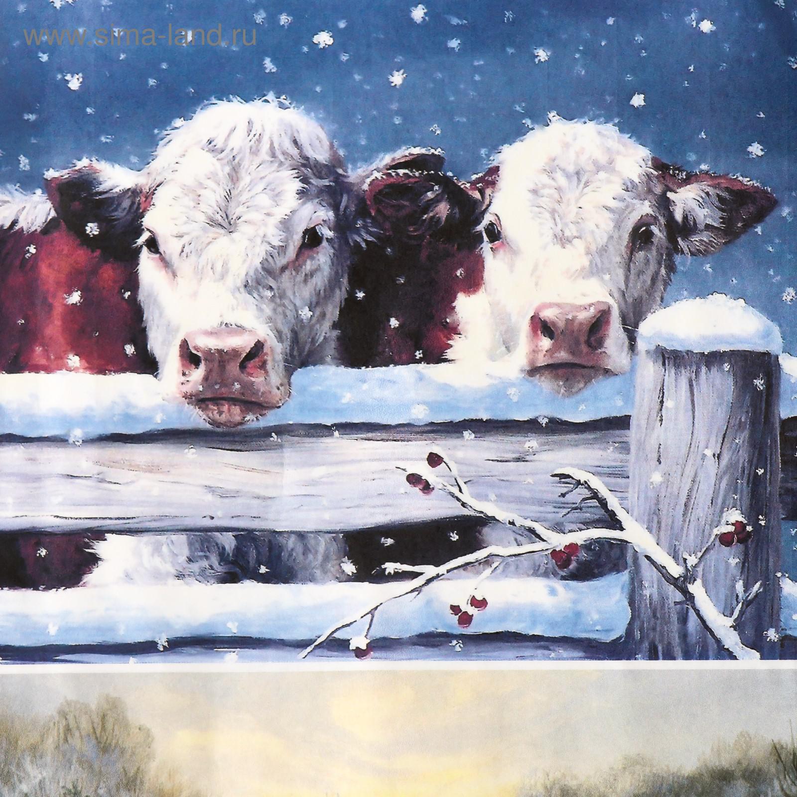 Зимние пейзажи с коровами