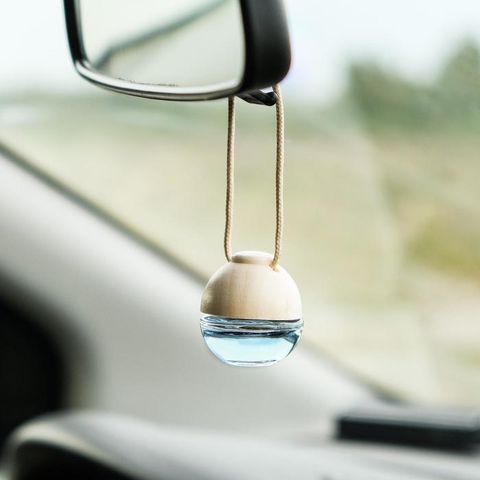 

Ароматизатор воздуха FRESHMANIA PREMIUM, флакон 5 мл, ПРОХЛАДНЫЙ ВОДОПАД, AFM-F-16