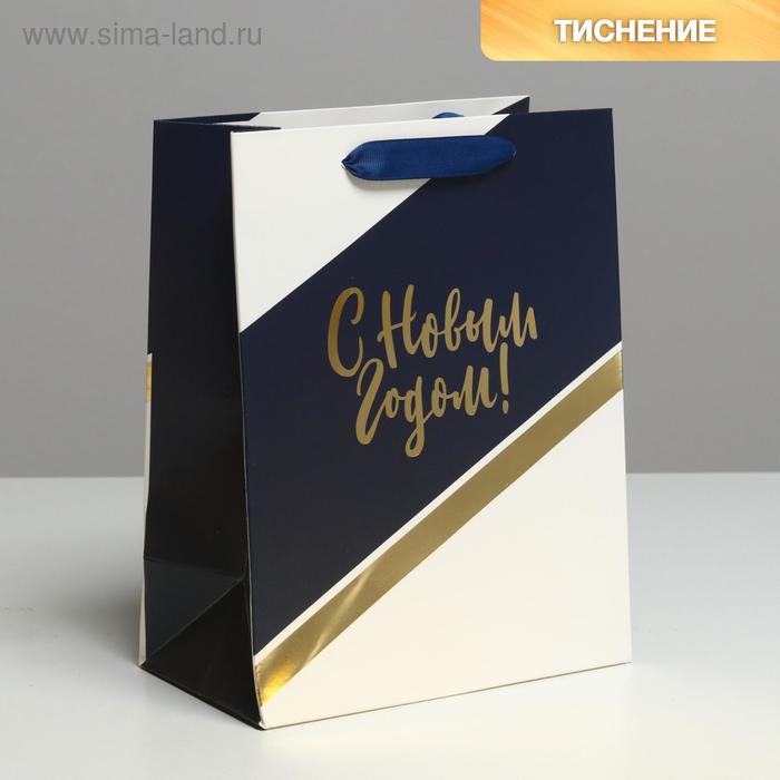 Пакет ламинированный вертикальный «Удачи в Новом году», MS 18 × 23 × 10 см пакет ламинированный вертикальный счастья в новом году s 12 × 15 × 5 5 см