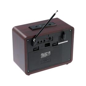 

Радиоприемник Ritmix RPR-088, FM/AM, MP3, microSD,USB, BT,аккум, 4хD бат, 220В,цвет золотой