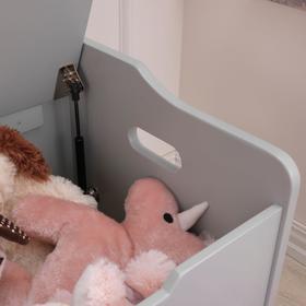 

Ящик для хранения Austin Toy Box, цвет серый