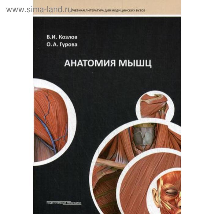 Анатомия мышц: Учебное пособие. Козлов В. козлов в гурова о анатомия человека