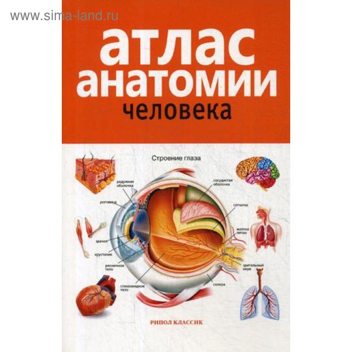 Атлас анатомии человека. 2-е издание, дополненное и переработанное. Ред. Красичкова Е. Г.