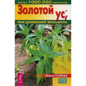 

Золотой ус, или домашний женьшень. Полевая М.А.