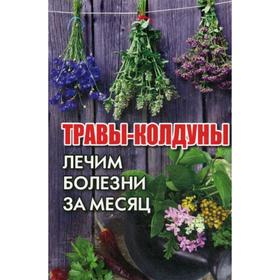 

Травы-колдуны. Лечим болезни за месяц. Романова М.Ю.