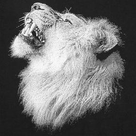 

Футболка детская Like a Lion, размер 14 лет, цвет чёрный