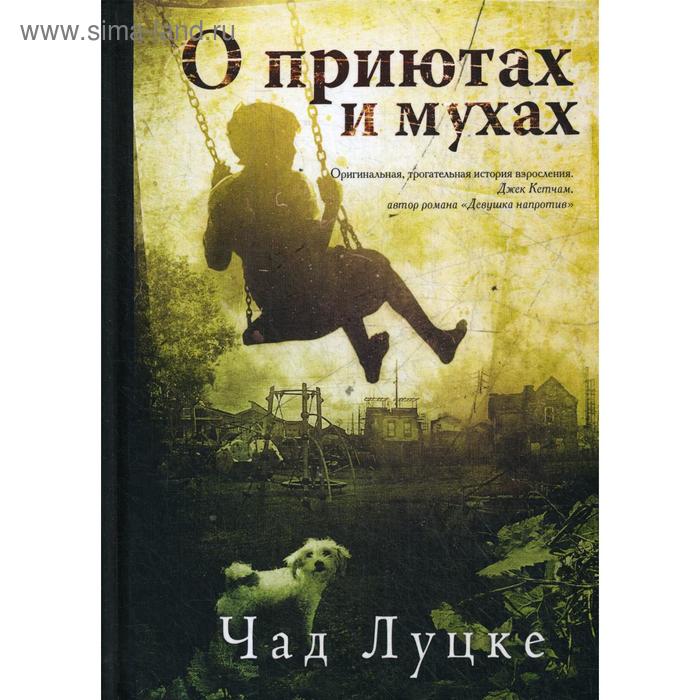 

О приютах и мухах. Чад Луцке