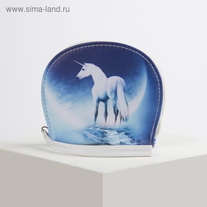 Кошельки Кошелёк детский, отдел на молнии, цвет синий