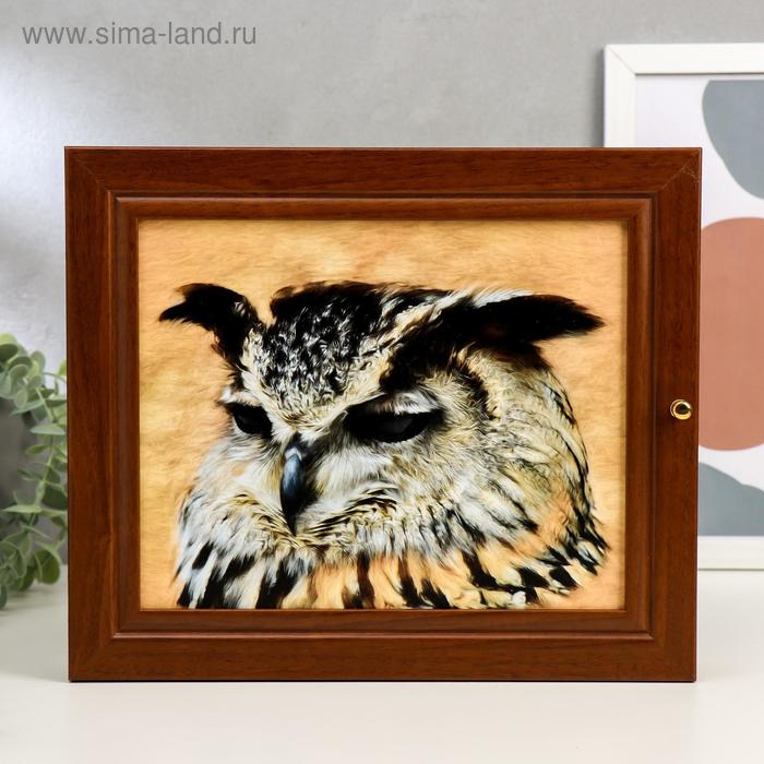 

Ключница "Мудрая сова" 26х31 см