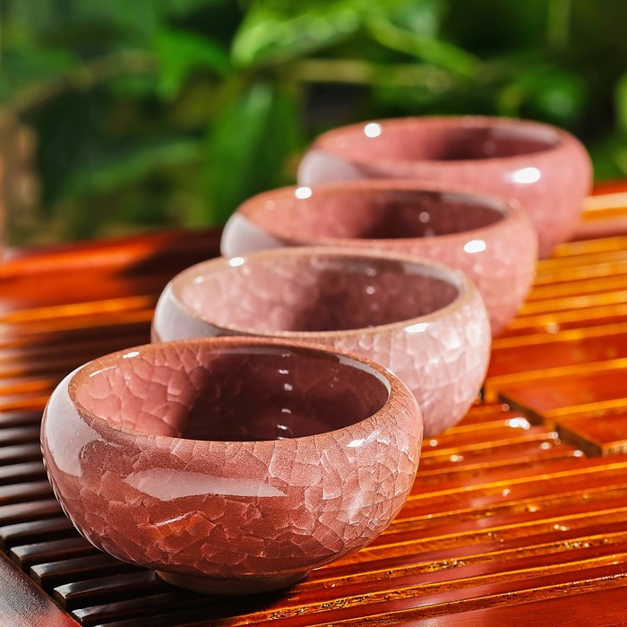 Набор для чайной церемонии "Искушение", 5 предметов: чайник 150 мл, чашка 50 мл, цвет фиолетовый