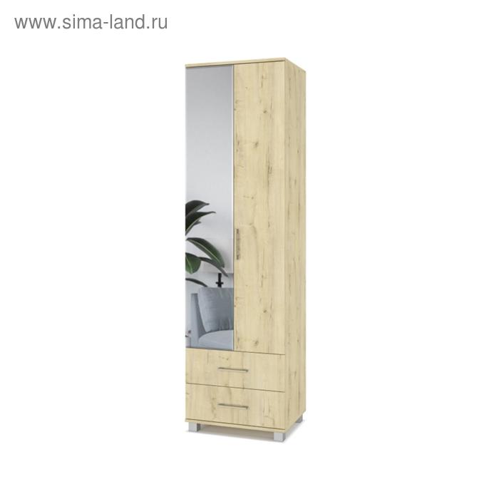 

Шкаф двустворчатый Карина К23 с зеркалом и ящиками 600x420x2100 Дуб ирландский