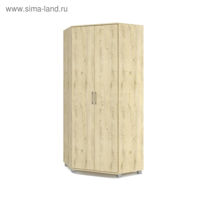 

Шкаф угловой двустворчатый Карина К59 420x900x2100 Дуб ирландский