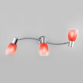 

Светильник Potpourri, 3x40Вт E14, цвет хром