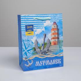 Пакет вертикальный ламинированный «Мурманск» MS, 18 х 23 х 8 см Ош
