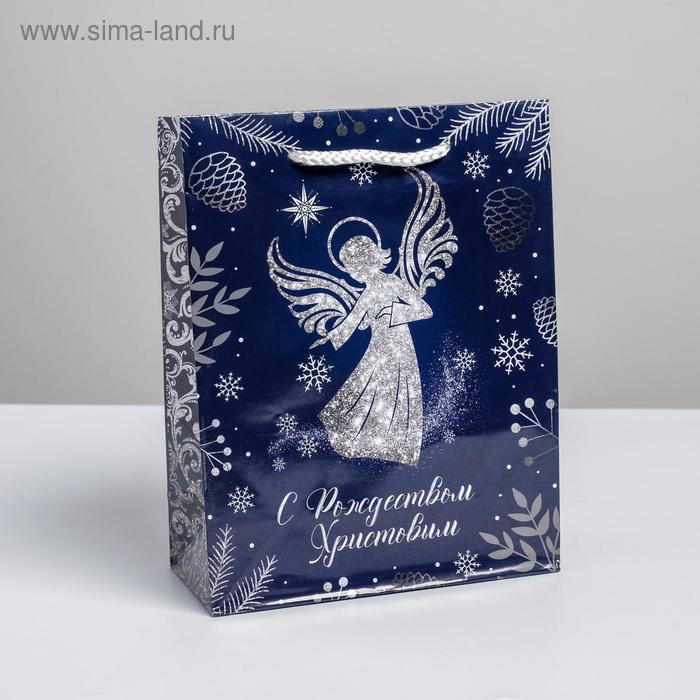 Пакет вертикальный ламинированный «Ангел» MS, 18 × 23 × 8 см