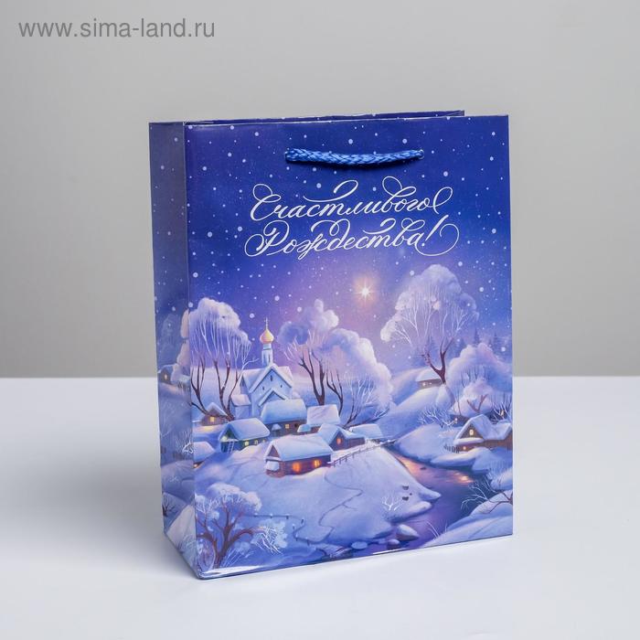 Пакет вертикальный ламинированный «Храм» MS, 18 × 23 × 8 см