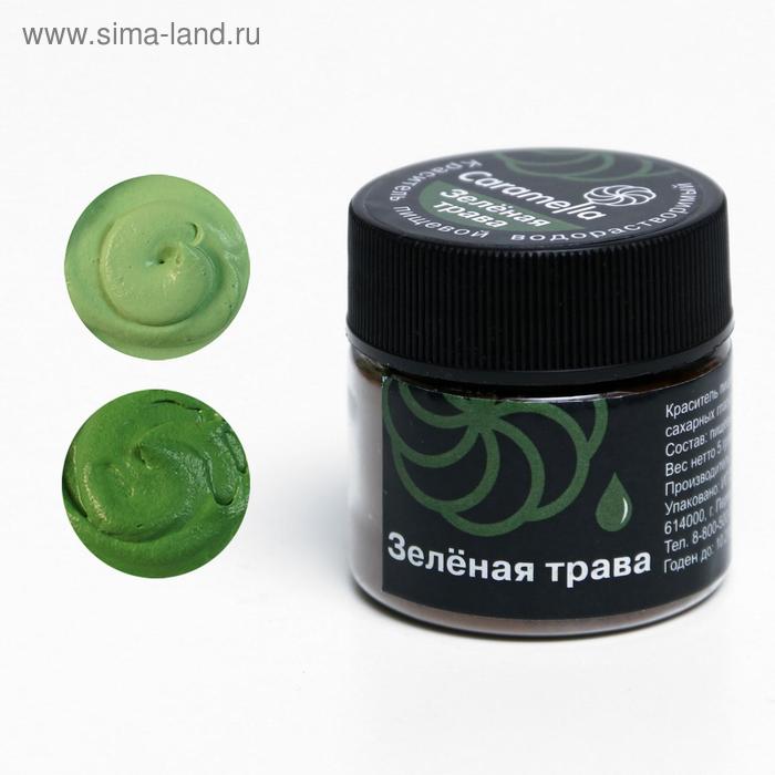

Краситель сухой водорастворимый Caramella «Зелёная, трава», 5 г