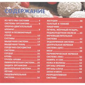 

Как устроен организм человека. Детская энциклопедия