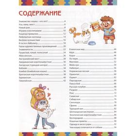 

Кошки. Детская энциклопедия. Забирова А.В.