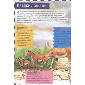 

Лошади: энциклопедия