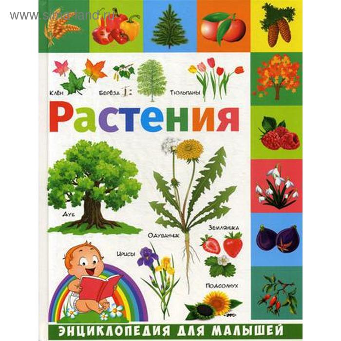 Растения: энциклопедия для малышей. Гриценко Е. мир вокруг нас энциклопедия для малышей гриценко е