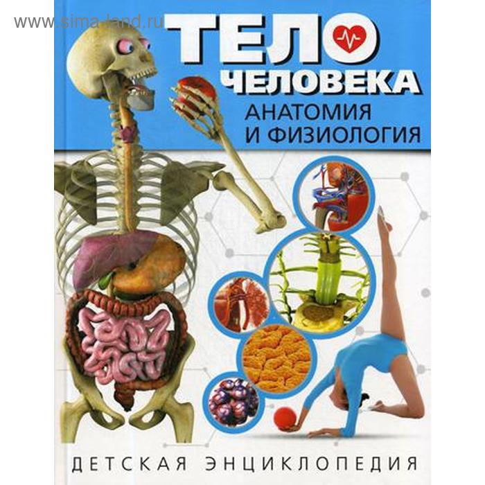 Тело человека Анатомия и физиология Детская энциклопедия 602₽