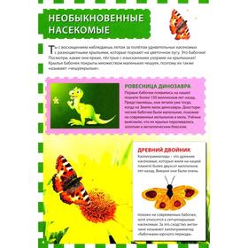 

Мир бабочек