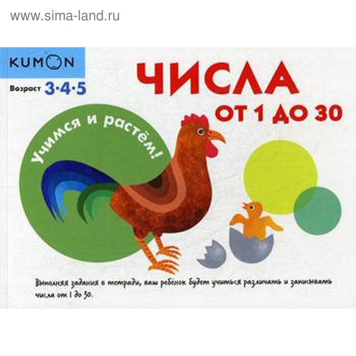 

Числа от 1 до 30