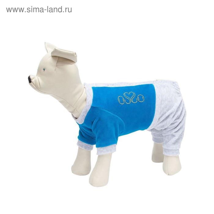 Спортивный костюм Osso для собак, велюр, размер 22 (ДС 22, ОГ 32-34 см), бирюзовый