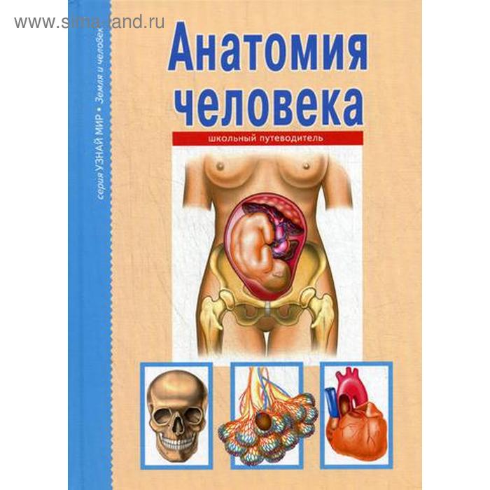 Анатомия человека. Узнай мир. Афонькин С.Ю. афонькин с анатомия человека школьный путеводитель