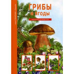 

Грибы и ягоды. Узнай мир. Школьный путеводитель. Афонькин С.Ю.
