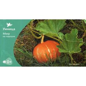 

Мир на ладошке. На грядке. Игры с карточками (24 карточки)