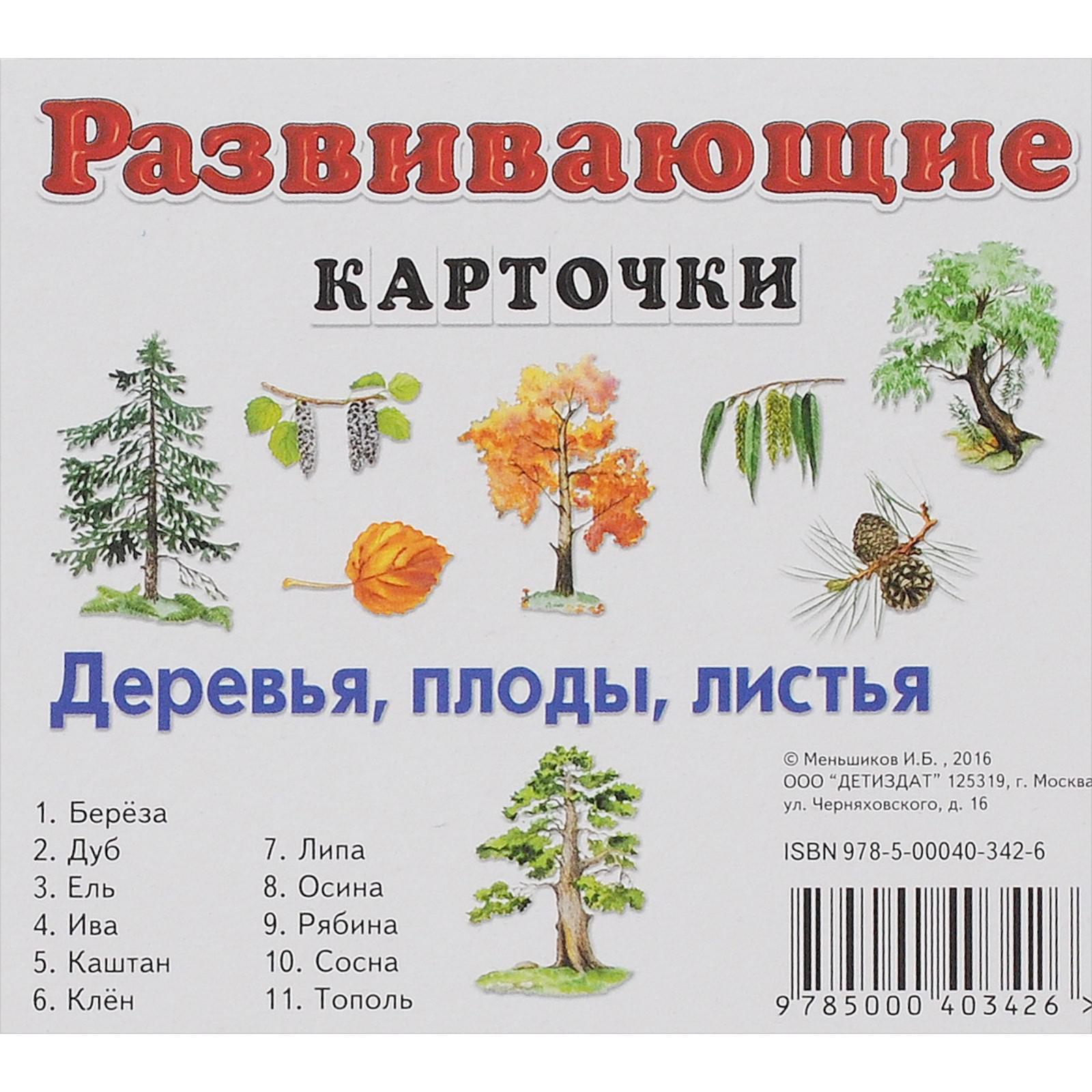 Деревья Москвы Листья Фото