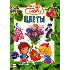 

Цветы (меловка)