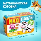 Миниатюра