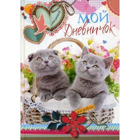 

Мой личный дневничок для девочек «Котята в корзинке»