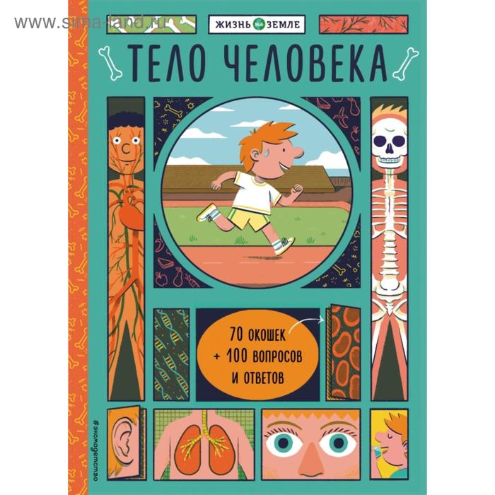 

Тело человека (с окошками). Александер Х.
