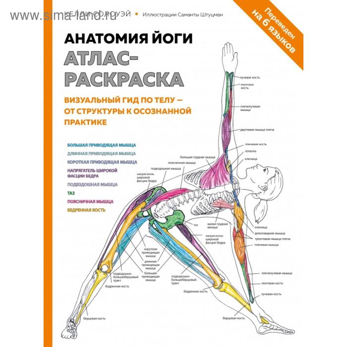 Анатомия йоги: атлас-раскраска. Визуальный гид по телу — от структуры к осознанной практике. Солоуэй К.